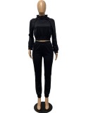 Fall Casual Plain Black Long Sleeve Crop Hoodie And Sweatpants Two Piece Set