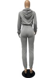 Fall Casual Plain Gray Long Sleeve Crop Hoodie And Sweatpants Two Piece Set