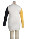 Fall Plus Size Color Block Round Neck Long Sleeve Mini Dress