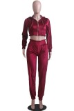 Fall Sports Red Velvet Zip Crop Hoodies And Sweatpants Set