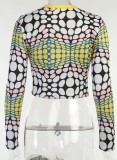 Fall Fashion Contrast Print Long Sleeve Round Neck Top