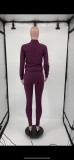 Winter Purple Zipper Long Sleeve Tracksuit with Pockets