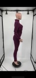 Winter Purple Zipper Long Sleeve Tracksuit with Pockets