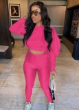 Autumn Rose Hooded Cropped Top and Tight Legging Set