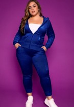 Fall Plus Size Casaul Blue Solid Hoodies And Pant Tracksuit