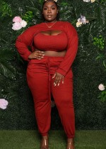 Fall Plus Size Red Hollow Out Long Sleeve Crop Top And Pant Set