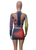 Fall Sexy Multi Color Printed Long Sleeve Crop top and Mini Skirt Set