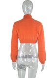 Winter Orange Knit Turtleneck Long Sleeve Pullover Crop Top