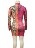 Fall Sexy Multi Color Snake Printed Lace-up Hollow Out Long Sleeve Bodycon Dress