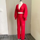 Autumn Red Occassional Pleated Puff Sleeve Cropped Top and High Waist Pants Set