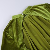 Fall Casual Green Velvet Puff Sleeve Skater Dress