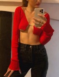 Autumn Party Sexy Knit Red Crop Top