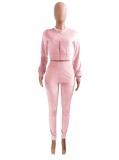 Winter Casual Pink Velvet Crop Top and Pants 2 Piece Tracksuit