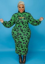 Winter Plus Size Grün Leopard Print Stehkragen Langarm Top und langes Kleid Zweiteiler Set