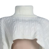 Winter Casual White Turtleneck Neck Crop Oversize Sweater