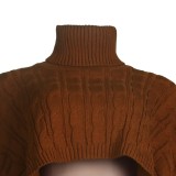 Winter Casual Brown Turtleneck Neck Crop Oversize Sweater