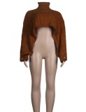 Winter Casual Brown Turtleneck Neck Crop Oversize Sweater