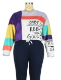 Fall Plus Size Multicolor Patchwork O-neck Cropped Street Pullover Shirt