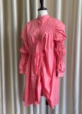 Autumn Casual Pink Oversizes O-Neck Pleated Blouse Dress