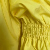 Autumn Casual Yellow Oversizes O-Neck Pleated Blouse Dress