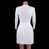 Winter White Elegant Knit Crop Top and Pleated Skirt Two Piece Set