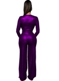 Winter Purple Metallic Formal V-Neck Long Sleeve Elegant Jumpsuit