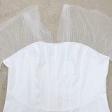 Fall Plus Size White Mesh Patch Long Sleeve bodycon Dress