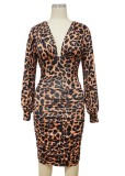 Autumn Leopard Print V-Neck Long Sleeves Midi Dress