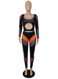 Fall Sexy Orange Contrast Cut Out Long Sleeve Top And Pant Two Piece Set