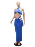 Fall Sexy Blue Satin Halter Neck Cutout Sleeveless Long Dress
