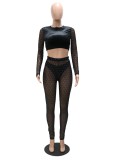 Autumn Black Beading Sexy Crop Top and Mesh Pants Two Piece Set