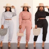 Winter Wholesale Two Piece Clothing Pink Round Neck Long Sleeve Crop Top And Pant Set