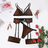 Sexy Leopard Print Bra and Panty Galter Lingerie Set