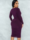 Spring Sexy Purple V Neck Long Sleeve Midi Dress