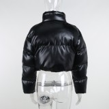 Winter Black Zipper Up Long Sleeves Cropped Downcoat