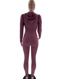 Spring Purple Hooded Zipper Top and High Waist Legging Set Wholesale Yoga Clothing