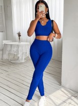 Sommer Sexy Blue Jacquard Sport Fitting Gym Strumpfhosen Cropped Danke und Hosen Set Großhandel Yoga Kleidung