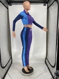 Spring Sexy Purple Color Block Zipper Long Sleeve Cropped Top and Sweatpants Cheap 2holesale Two Piece Sets
