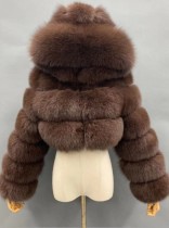 Winter Warmth Brown Hoody Long Sleeve Fur Coat