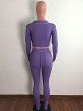 Fall Sxey Purple Irregular Collar Long Sleeve Crop Top And Pant Two Piece Set
