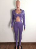 Fall Sxey Purple Irregular Collar Long Sleeve Crop Top And Pant Two Piece Set