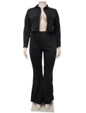 Spring Black Velvet Buttoned Top and Pants Plus Size Two Piece Set