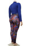 Spring Blue Sheer Crop Top and Print Pants Plus Size Two Piece Set