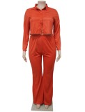 Spring Orange Velvet Buttoned Top and Pants Plus Size Two Piece Set