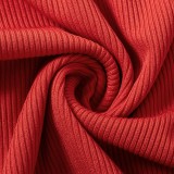 Winter Sexy Red High Collar Long Sleeve Silt Knit Dress