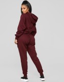 Women Spring Burgunry Solid Color Hooded Long-sleeved Plus Size Sweatsuit