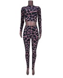 Spring Sexy Print Round Collar Long Sleeve Crop Top And Pant Two Piece