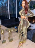 Spring Women Sexy Golden O-neck Long Sleeve Slim Fit Crop Top and High Waist Pants Wholesale Two Piece Sets