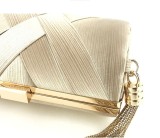 Women Elegant Evening Dinner Fashion Golden Tape Tassels Handbag