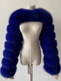 Giacca a maniche lunghe in pelliccia sintetica blu moda invernale